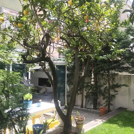 Casa Do Limoeiro *